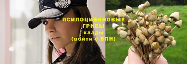 МДПВ Балабаново