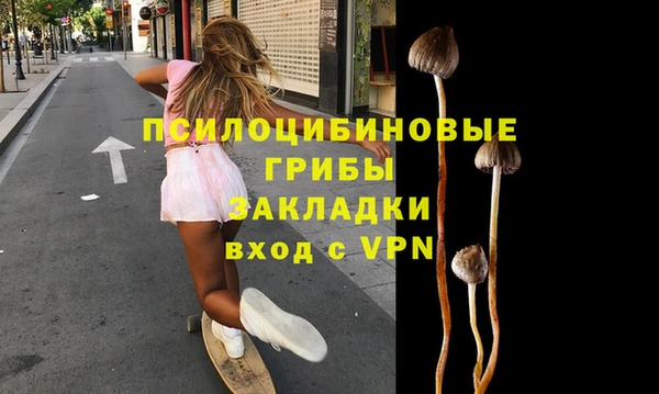 крисы Балахна