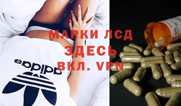 крисы Балахна