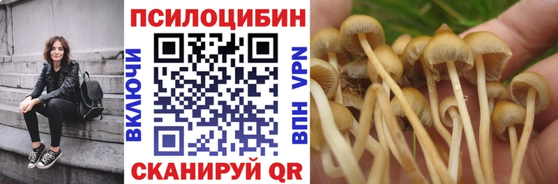 Псилоцибиновые грибы Magic Shrooms  хочу   Калининец 